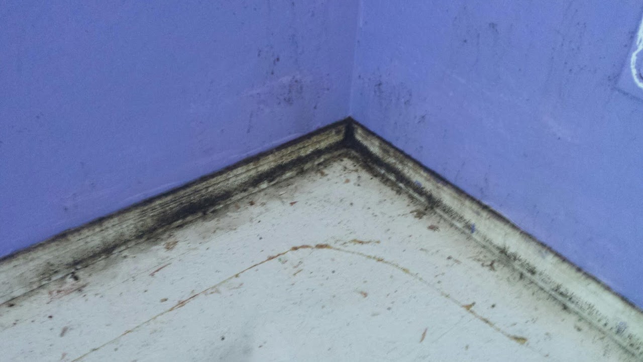 Arizona Heat Pest Services project