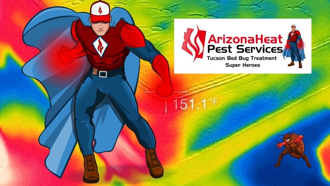 Arizona Heat Pest Services project